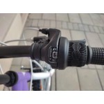 детски велосипед STR LOOPING SPORT 20 цола детски велосипед STR LOOPING SPORT 20 цола